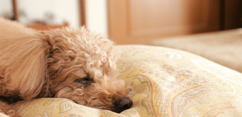 「Doctors Me（ドクターズミー）」コラム画像