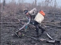 カナダの森林火災の焼け跡に、1日4500本以上の植林に励む女性