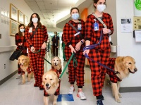 クリスマスを病院で過ごす子供たちの元へパジャマを着た犬たちが訪問