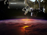 宇宙は人間の臓器を製造するのに最適な場所かもしれない（国際宇宙ステーション）