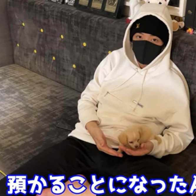 YouTube：ヒカル（Hikaru）より