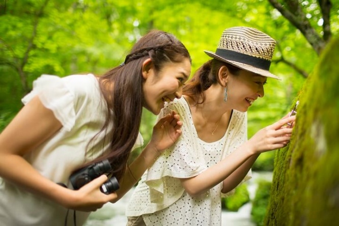 株式会社星野リゾートのプレスリリース画像