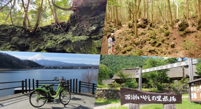 富士観光開発株式会社のプレスリリース画像