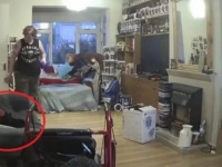 1年前に亡くなった黒猫が会いに来てくれたと信じる飼い主。ソファに座る黒猫の姿を発見