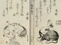 画像はイメージです