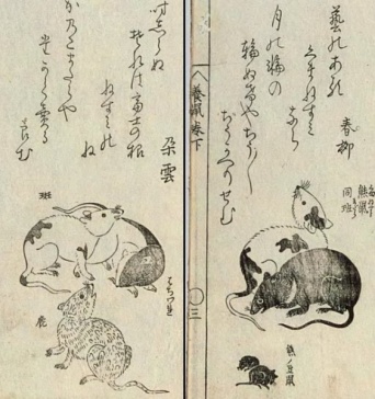 画像はイメージです