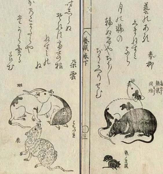 画像はイメージです