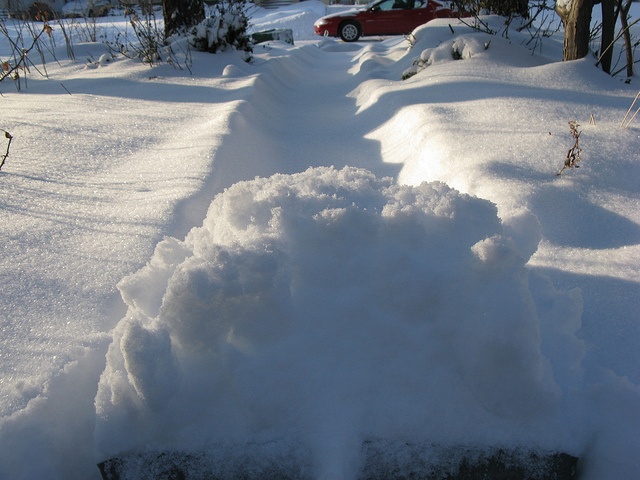 画像はイメージ（Santhan Naidooさん撮影、Flickrより）