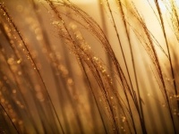 【七赤金星】2021年前半の運勢