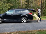 犬が消えた！？勢いよく車から飛び出すも、姿が見えなくなってしまう…。