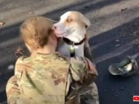 ご主人が任務から帰って来た！…けれど愛犬は「えっ、誰？」と、久しぶりに会った飼い主がわからなかった模様