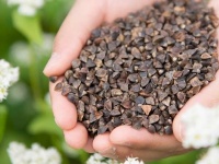 ミュージックセキュリティーズ株式会社のプレスリリース画像