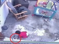 危機一髪！猫が赤ちゃんを転落事故から救う、背中に飛びつき前脚でブロック（コロンビア）