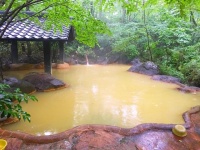 黄金色の混浴露天「こぶしの湯」