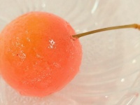 しょこたん「神のたべものすぎた」　山形名物さくらんぼを最高に楽しむ「プチジェリチェリー」がマジでヤバイ
