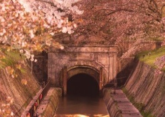 〝新国宝〟琵琶湖疎水の桜並木に、幻想絶景「観月舞台」も　滋賀・大津で春のライトアップ始まる