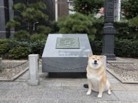 歴史ロマンに注目グルメも！柴犬まる、日本橋の魅力について語る