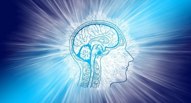 Dream Art Laboratoryのプレスリリース画像