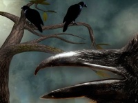 ワタリガラスは感情を共有する。ネガティブな感情が他のカラスに伝染していくことが判明（国際研究）