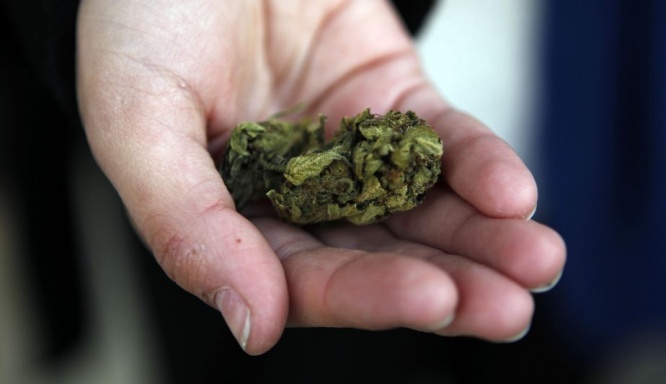 ウルグアイ　大麻合法化