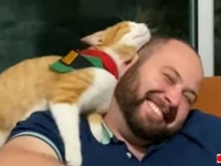 イチャコラにもほどがある？愛猫とヒゲメンのノンストップならぶらぶシーンにご馳走さま！