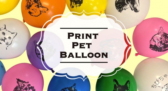 有限会社葛飾ラテックス工業所のプレスリリース画像