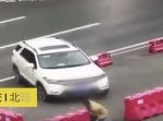 身勝手すぎる…！　中央分離帯をどけて高速道路を引き返す悪質犯。