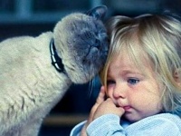 その場所変わってくれまいか。猫がヒトに完全に気を許したときそこは癒し空間に変わる