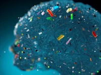 極小のマイクロ・ナノプラスチックが、摂取後わずか2時間後に脳内で検出される