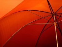画像はイメージです（Ralph Hockensさん撮影、Flickrより）