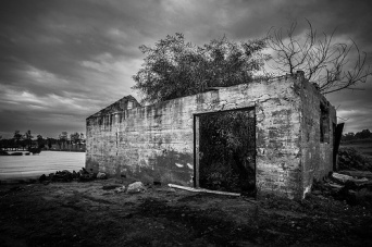 画像はイメージです（Neta Bartalさん撮影、Flickrより）