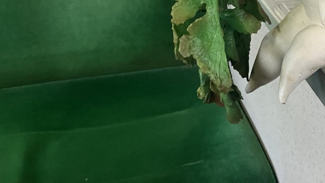 「終点までこいつと相席なのおもろすぎる」　電車で座ってた〝まさかの相手〟に12万人困惑