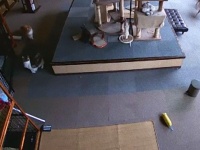 猫たちはあの瞬間どう過ごしていたんだろう。地震にいち早く気づく猫たちを映した動画が発見された