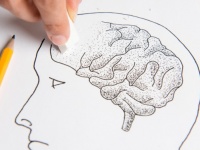 マルチタスク、薄暗い照明、長い運転時間など。科学的に裏付けられた人間の知性を損なう10の事
