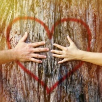 Hands of couple in love hugging a tree with painted red heart
