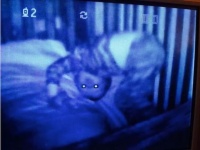 赤子ホラー。監視カメラがとらえた不気味な赤子たちの画像