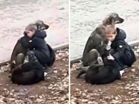 通学途中の少年が野良犬をぎゅっと抱きしめるやさしい世界がここにある