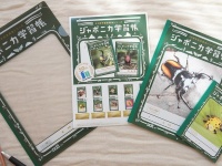 ジャポニカ学習帳の昆虫シリーズが切手シートに！クリアファイルとノートのセットで販売開始
