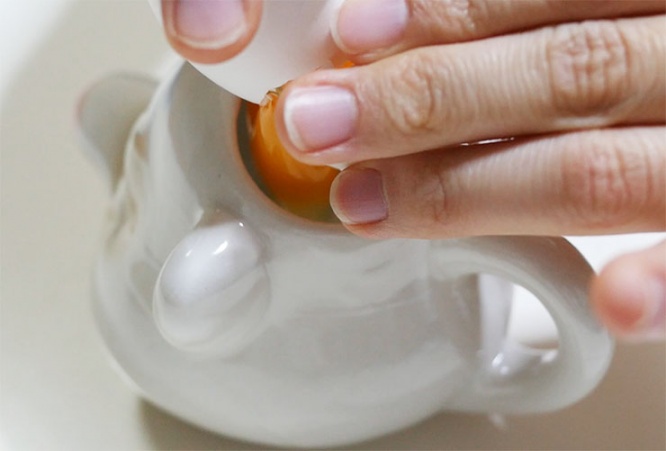 egg1