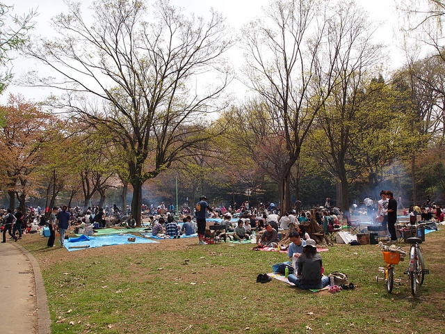 円山公園