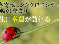 Dream Art Laboratoryのプレスリリース画像