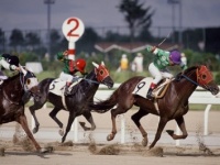 ついに月末は「有馬記念」！　女子はデートで競馬に連れて行かれるのはあり？⇒約7割の女子は……