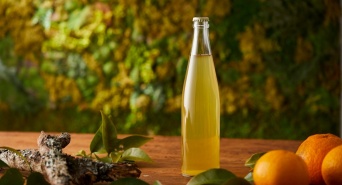 株式会社　日本総合園芸のプレスリリース画像