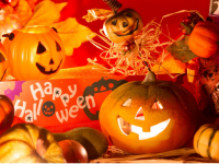 涙と旅カフェ　あかねのプレスリリース画像