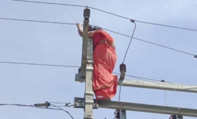 7年間の不倫が夫にバレた女性、電柱によじ登り大騒ぎに