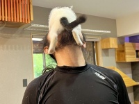 赤ちゃん猫による〝全力すぎる愛情表現〟に6.9万人羨望　「動けねえ」「窒息死したとしても本望」