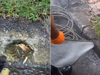 スッキリ！排水マニアの為の排水溝掃除動画