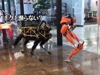 ロボットでさえイチャイチャしてるのにおまえらときたら...2足と4足のロボットが初対面でShall we ダンス
