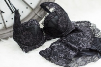 株式会社ファンジェリーのプレスリリース画像