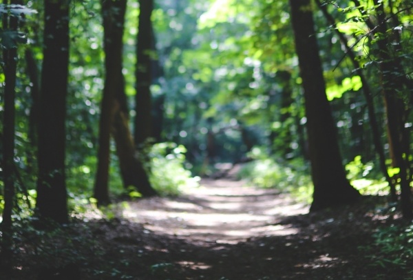 欲求不満の表れ？　「追いかけられる夢」を見る理由